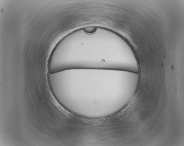 X0000060581516200511241328