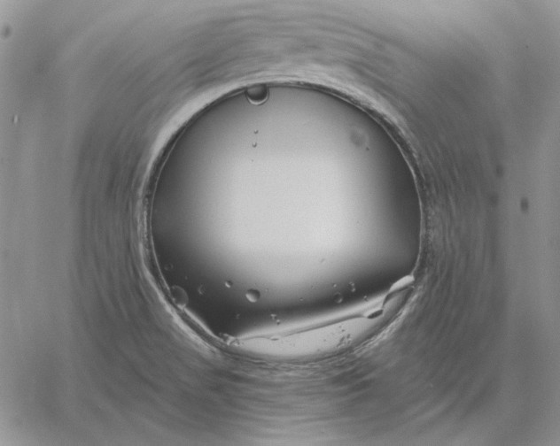 X0000060581517200511241328