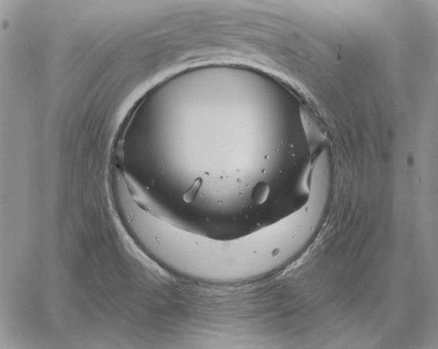 X0000060581518200511241328