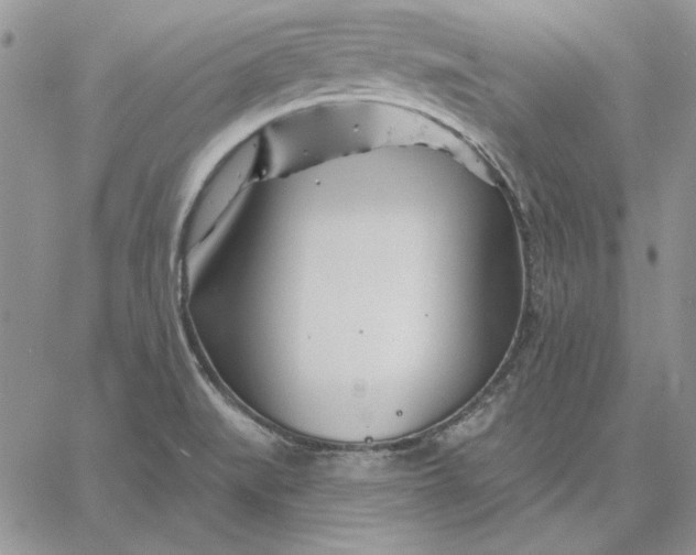 X0000060581519200511241328