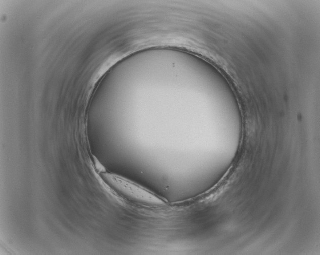 X0000060581521200511241328