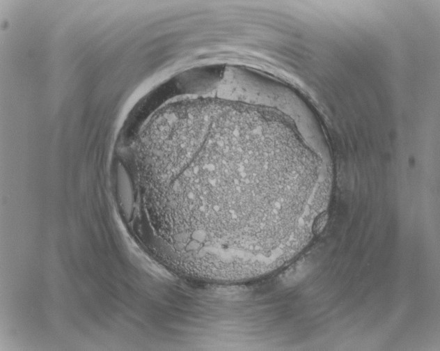 X0000060581522200511241328