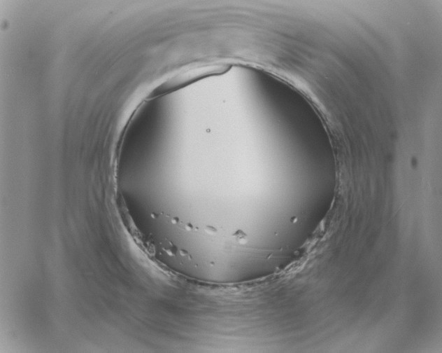 X0000060581524200511241328