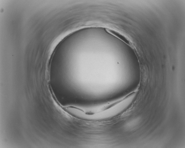 X0000060581527200511241328