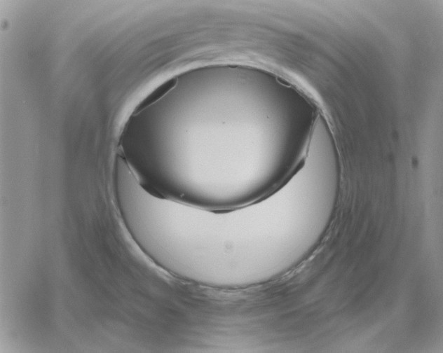 X0000060581528200511241328