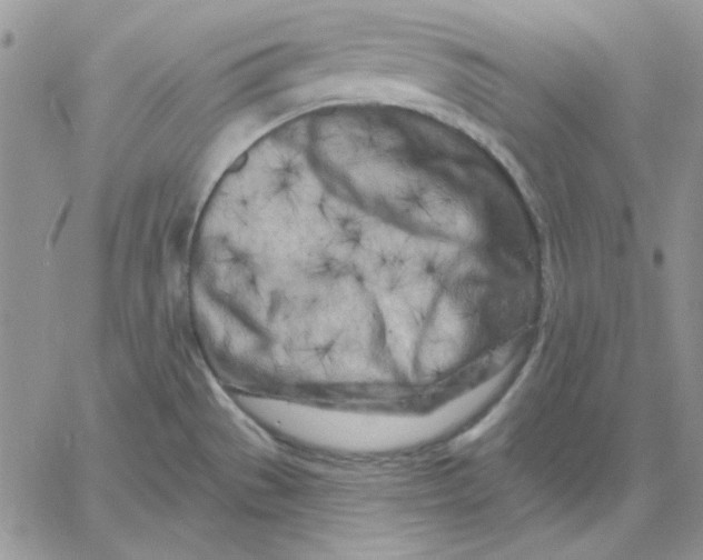 X0000060581529200511241328