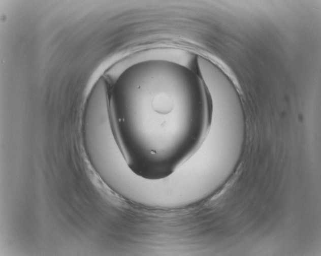 X0000060581530200511241328