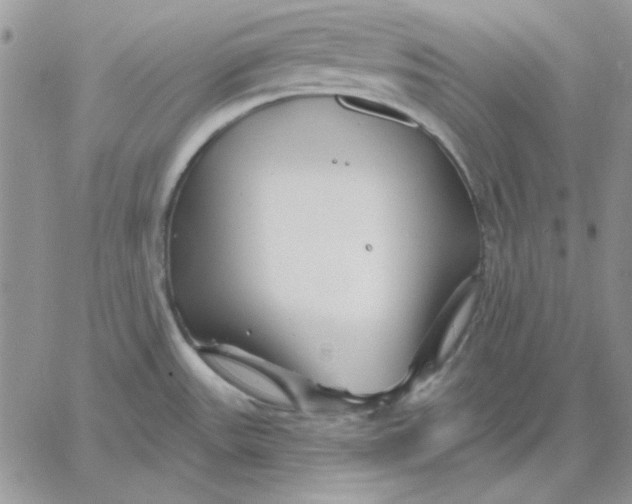 X0000060581531200511241328