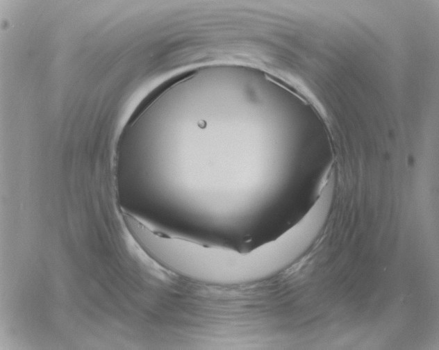 X0000060581532200511241328