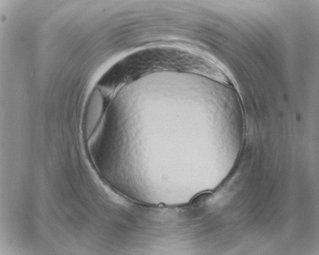 X0000060581533200511241328