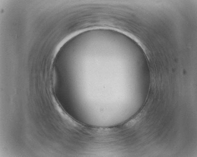 X0000060581534200511241328