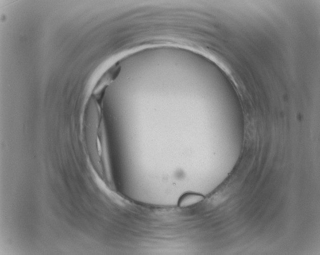 X0000060581535200511241328