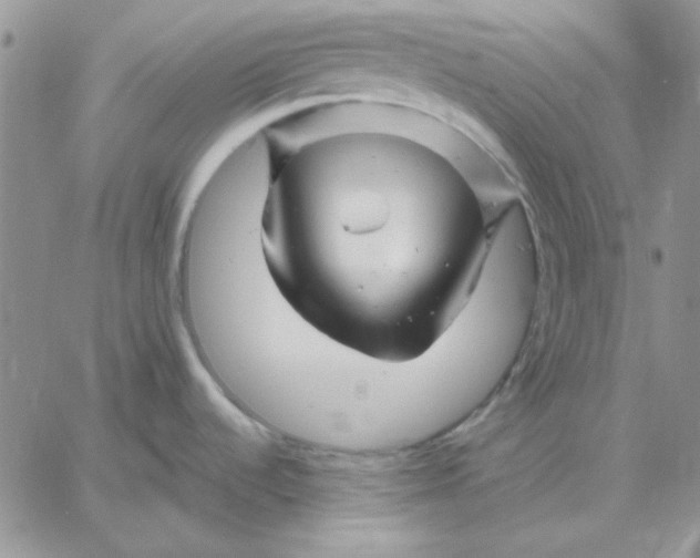 X0000060581536200511241328