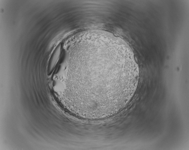 X0000060580002200512011744