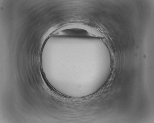 X0000060580003200512011744