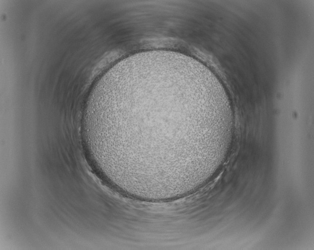 X0000060580010200512011744