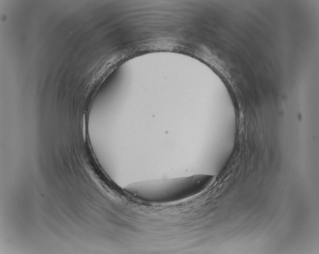 X0000060580013200512011744