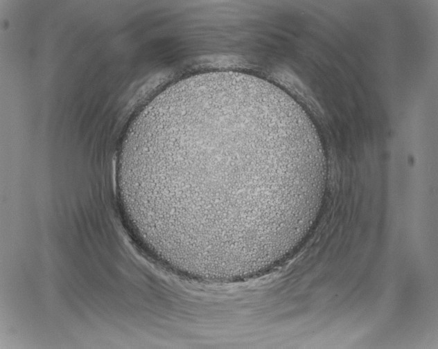 X0000060580014200512011744