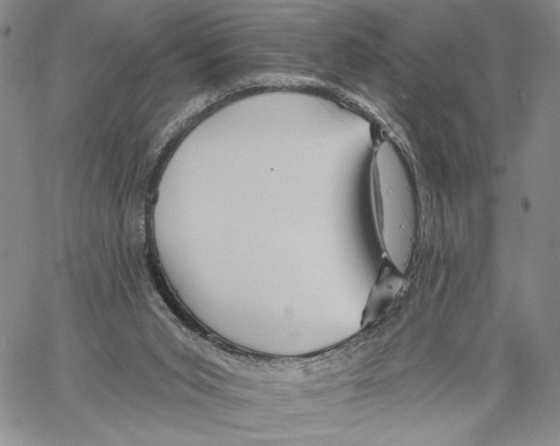 X0000060580015200512011744