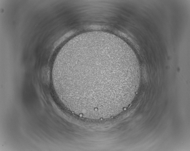 X0000060580016200512011744