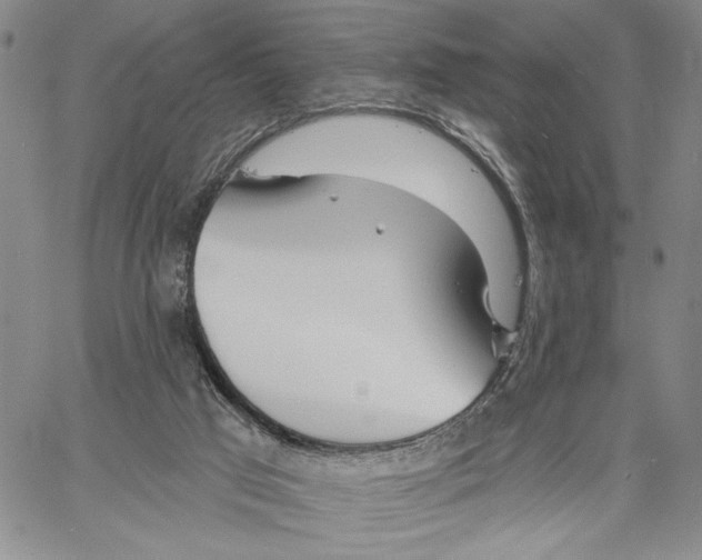 X0000060580017200512011744