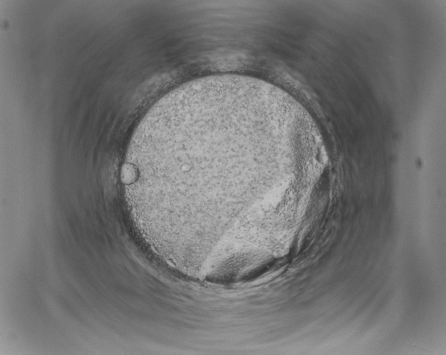 X0000060580018200512011744