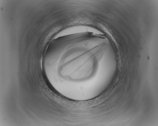 X0000060580019200512011744