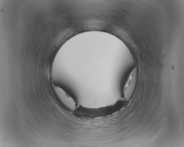 X0000060580021200512011744