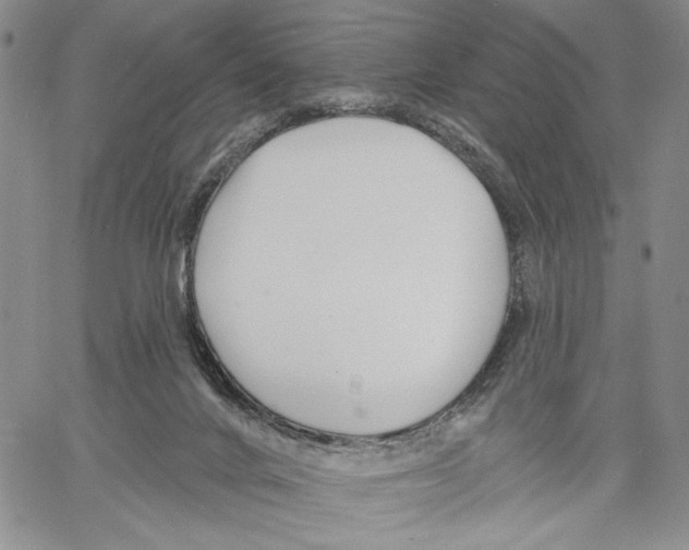 X0000060580024200512011744