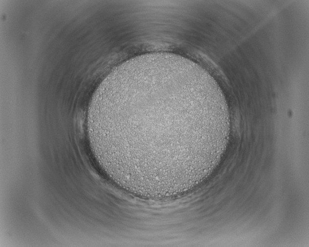 X0000060580026200512011744