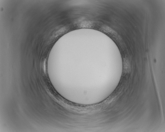 X0000060580028200512011744