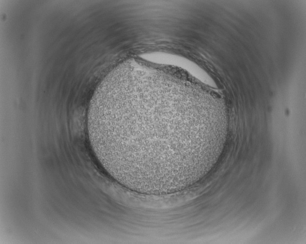 X0000060580030200512011744