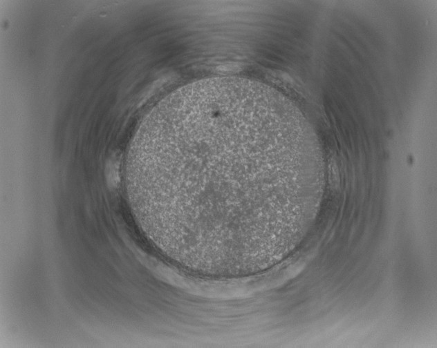 X0000060580032200512011744