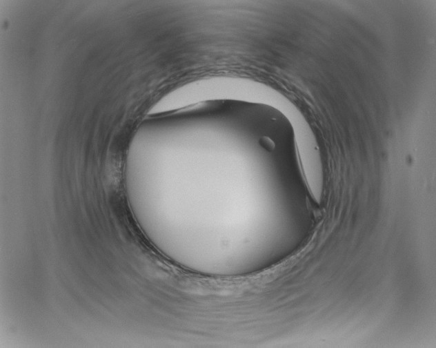 X0000060580033200512011744