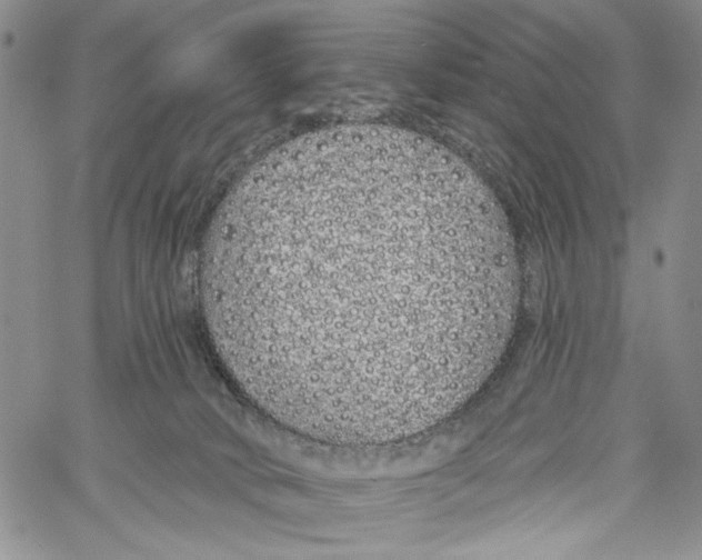 X0000060580034200512011744