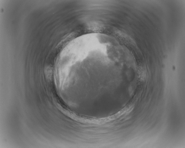 X0000060580036200512011744