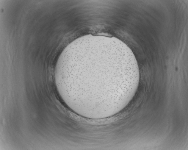 X0000060580038200512011744