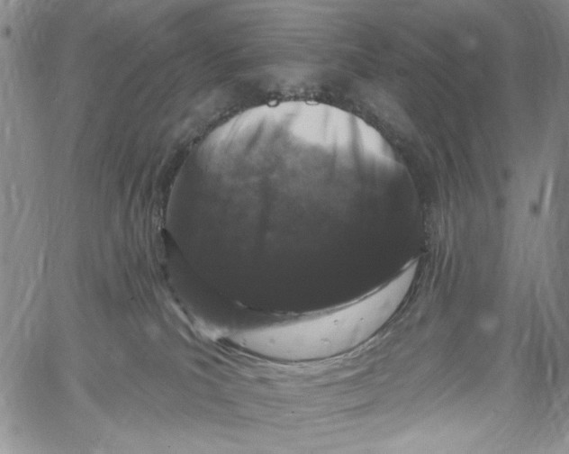 X0000060580039200512011744