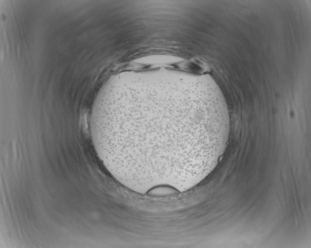 X0000060580042200512011744