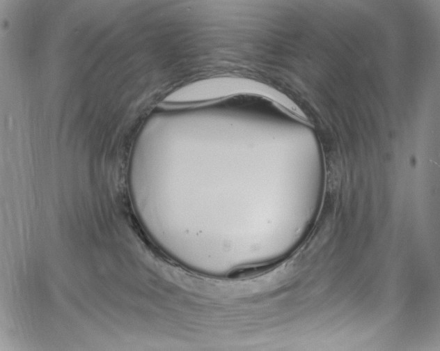 X0000060580043200512011744