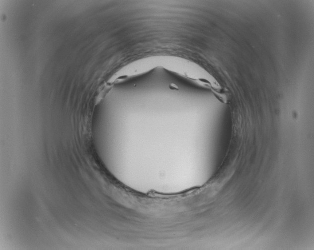 X0000060580044200512011744