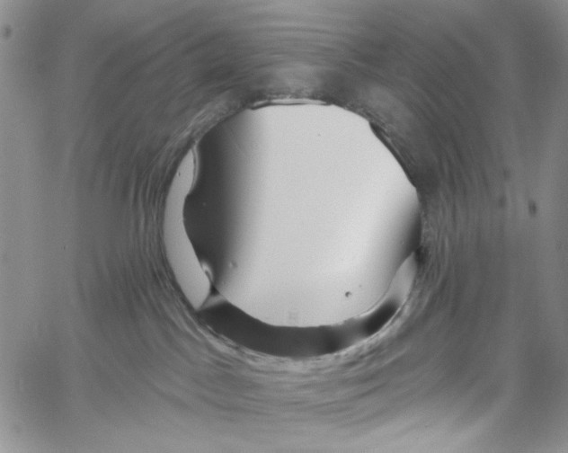 X0000060580045200512011744