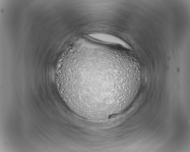 X0000060580046200512011744