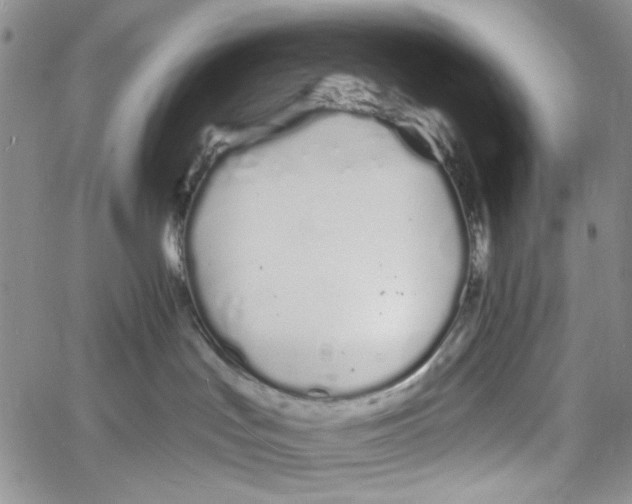 X0000060580047200512011744