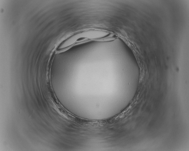 X0000060580050200512011743