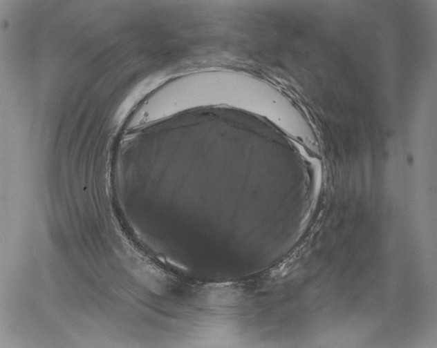 X0000060580054200512011743