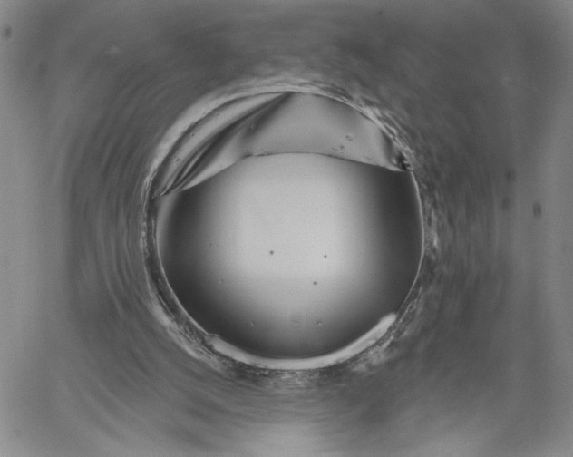 X0000060580056200512011743