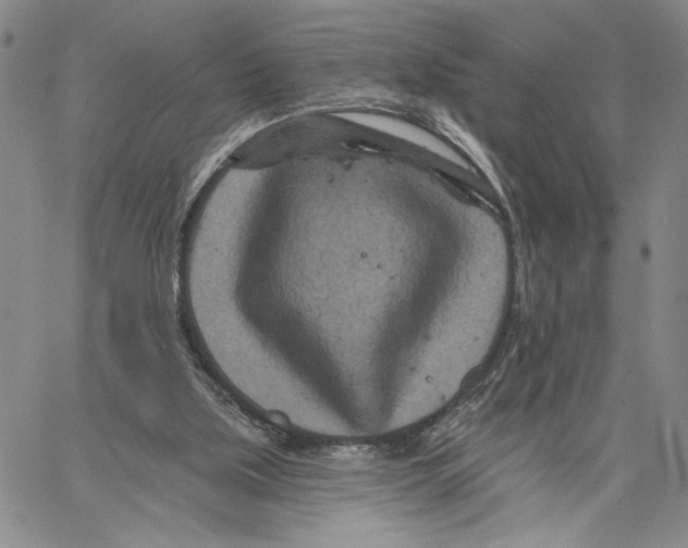 X0000060580059200512011743