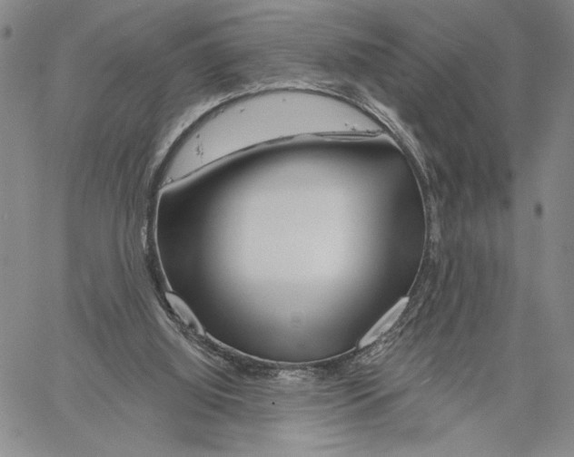 X0000060580060200512011743