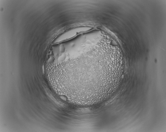 X0000060580061200512011743